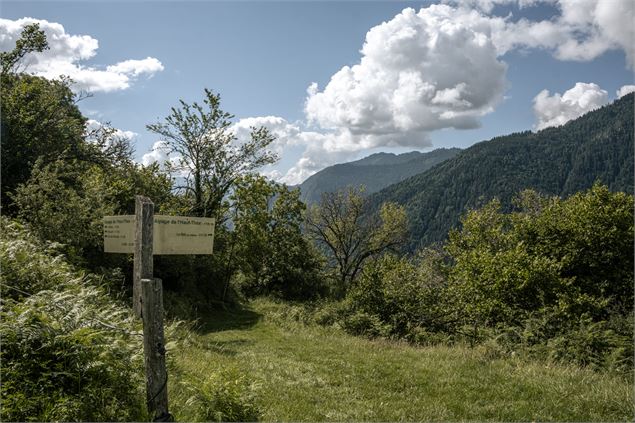 Alpage de l'Haut-Thex - Lucie Tanguy / Vallée d'Aulps Tourisme
