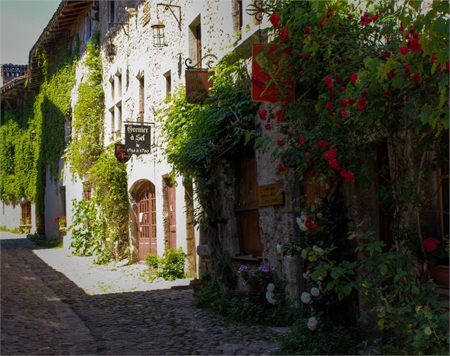 cité médiévale rue des rondes - S.Megani