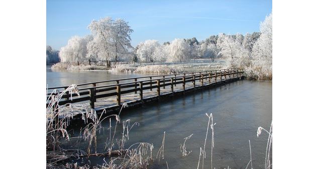 Etang des Pilles