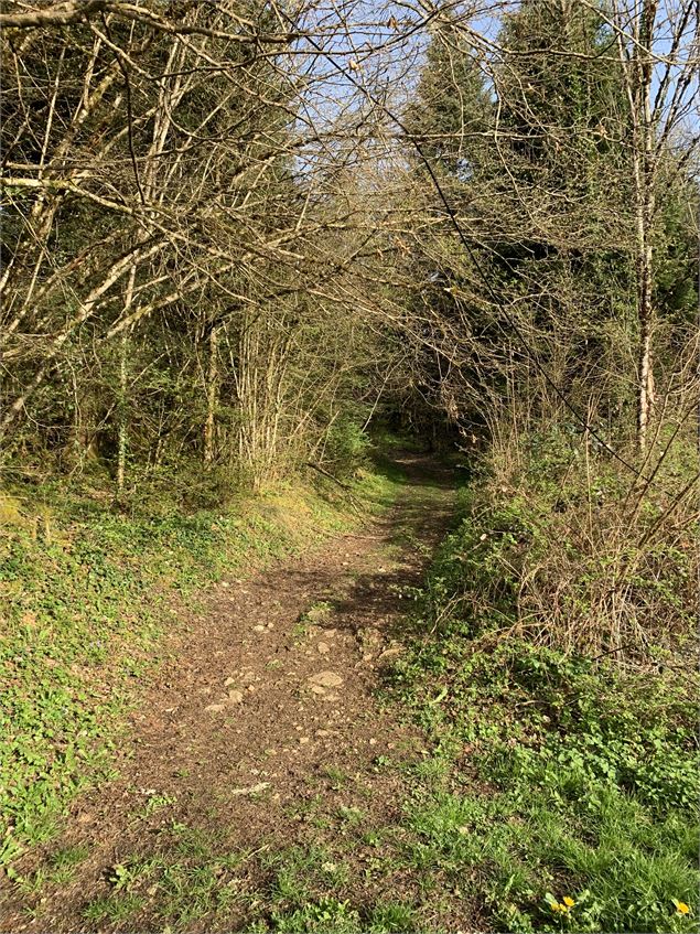 Montée glissante - Maxime Michel