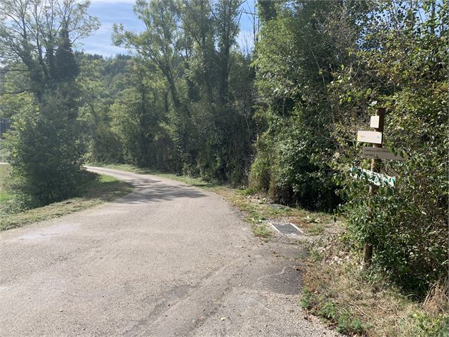 Route goudronnée - Maxime Michel