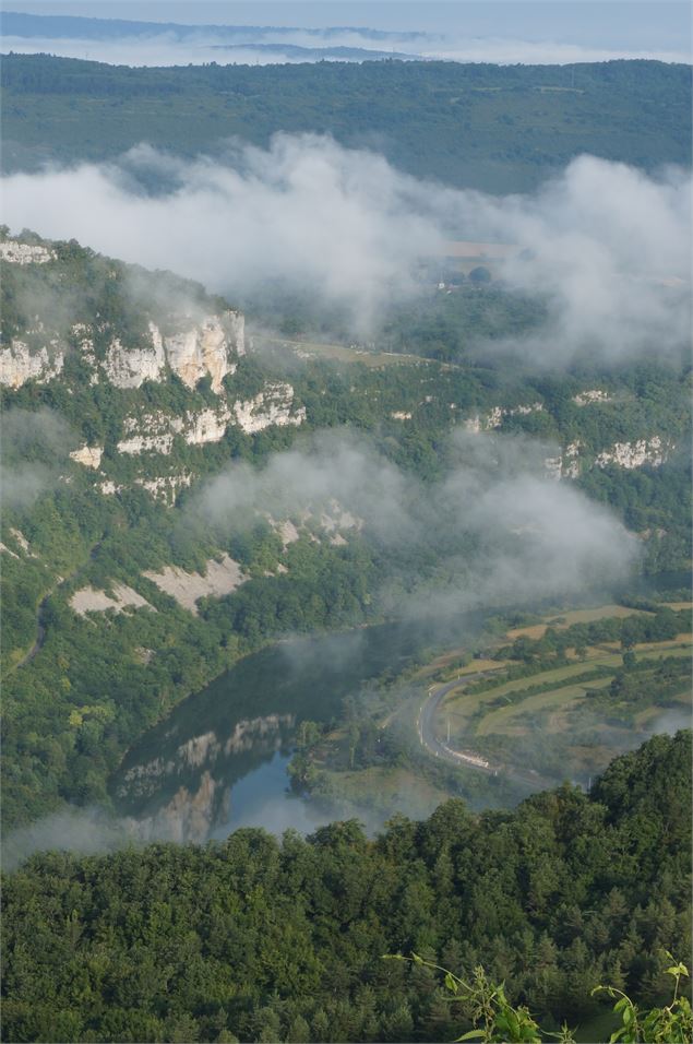 Vue panoramique rivière d'Ain - TourismeHautBugey©2014_MarcChatelain