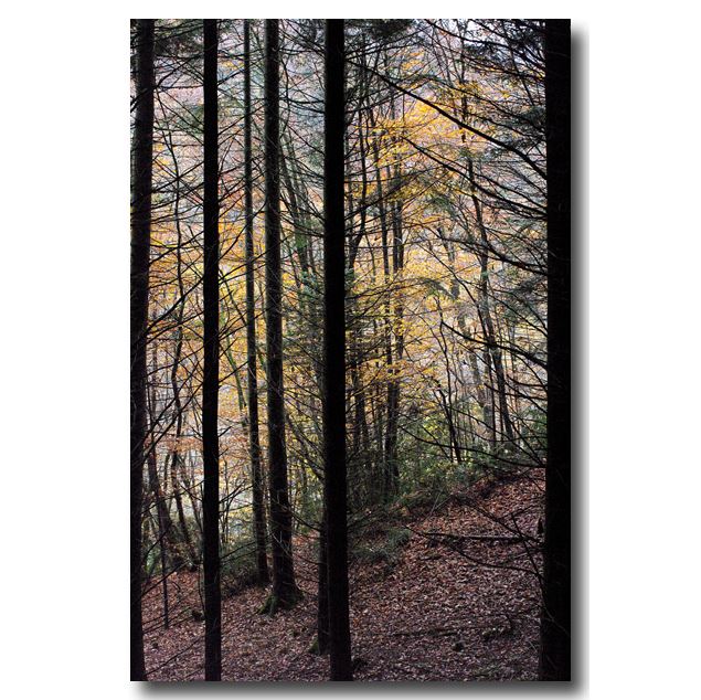 Circuit de la Roche Fendue à Saint-Jean-le-Vieux