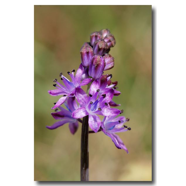 Circuit de la Roche Fendue à Saint-Jean-le-Vieux