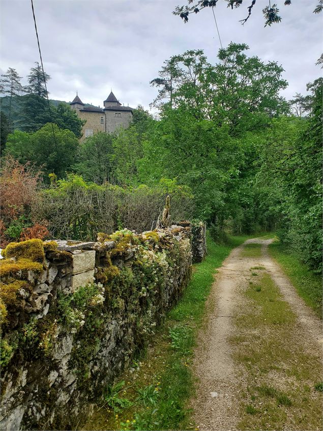 Château de Coiselet - Jérôme Pruniaux - Agence ARGO - HautBugeyTourisme