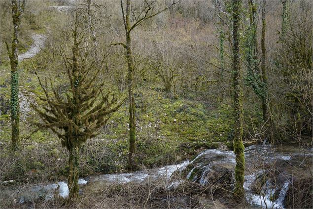 Rivière - OTRAPC (TS)