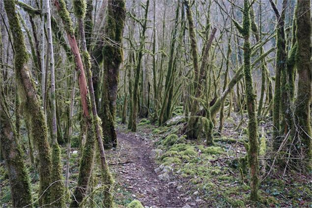 Chemin - OTRAPC (TS)