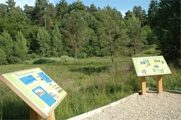 Marais de Napt - V.Allard – Haut-Bugey Agglomération