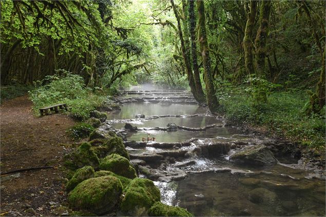 Ruisseau Noire Fontaine - JF Basset