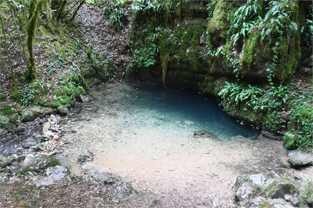 Noire Fontaine - JF Basset