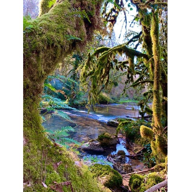 Hiver Noire Fontaine - JF Basset