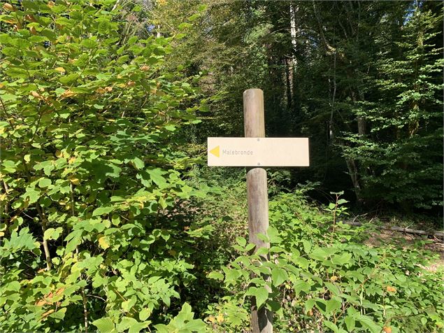 Panneau indicatif - Maxime Michel