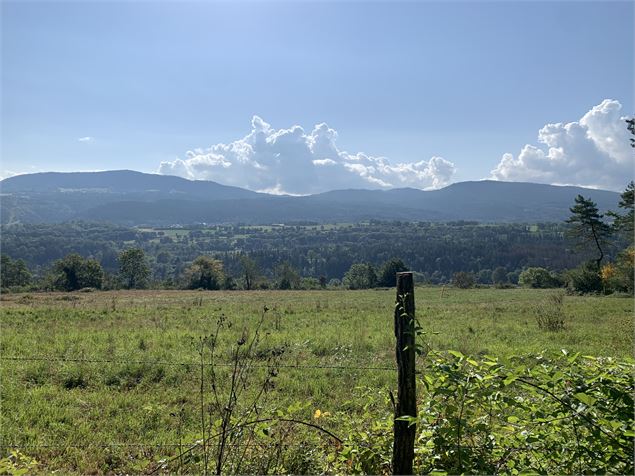Vue panoramique - Maxime Michel