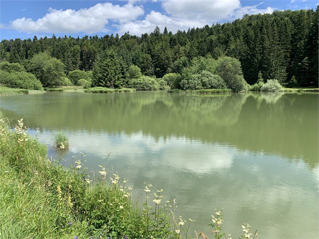 Les étangs Marron - Maxime Michel