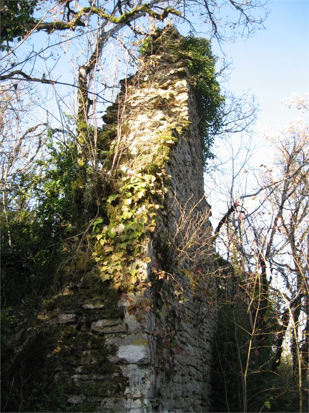 Randonnée - Les crêtes et ruines de la maison forte de Lomont