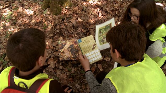 EPF Seillon©pas sage d'Images - ©pas sage d'Images