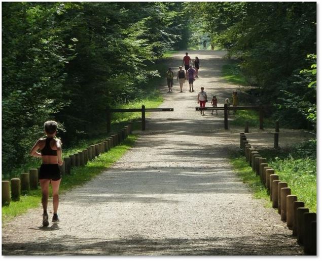 Espace pédagogique forestier de Seillon - ©pas sage d'Images