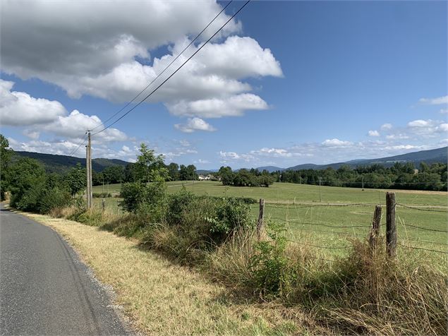 Route goudronnée - Maxime Michel