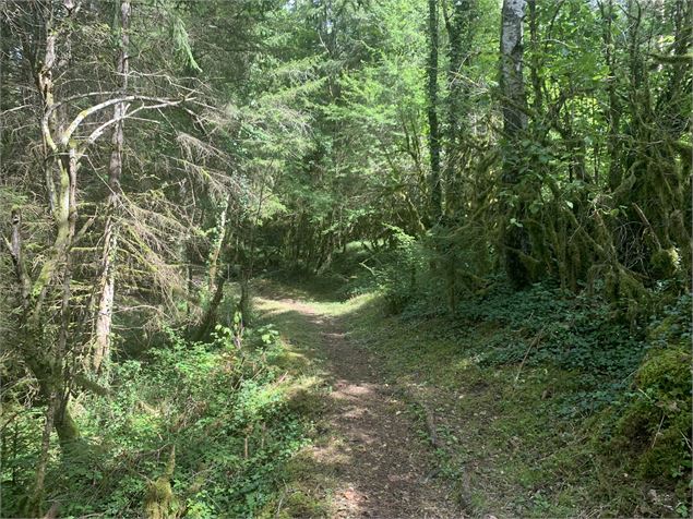 Sentier Les Granges - Maxime Michel