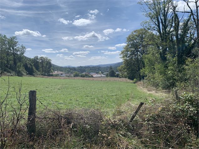 Sentier Les Granges - Maxime Michel