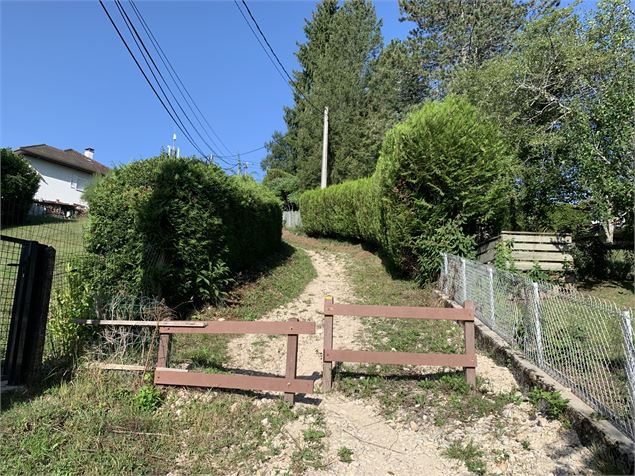 Chemin en dessus de Maissiat - Maxime Michel