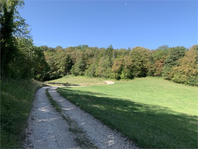 Chemin au dessus de la Grange de Véra - Maxime Michel