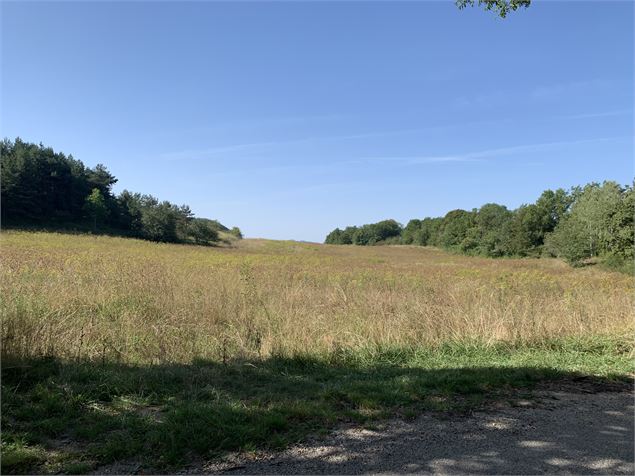 Le tour de Côte Grobet-Catou - Maxime Michel
