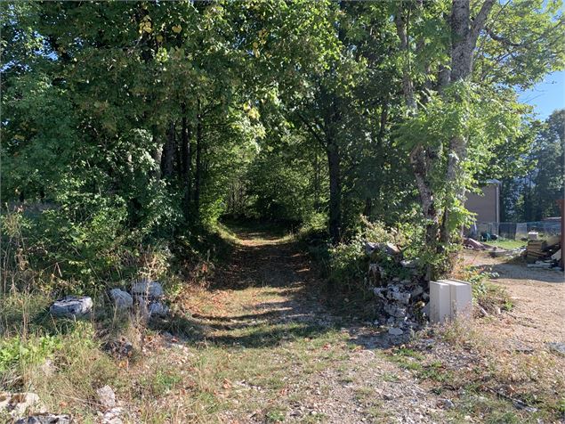 Chemier forestier - Maxime Michel