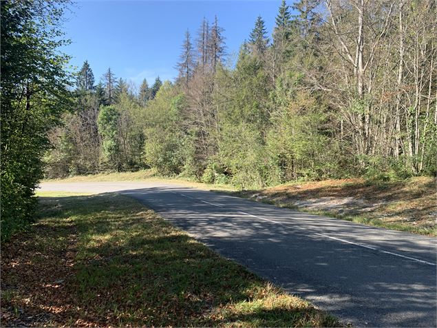 Route goudronnée - Maxime Michel