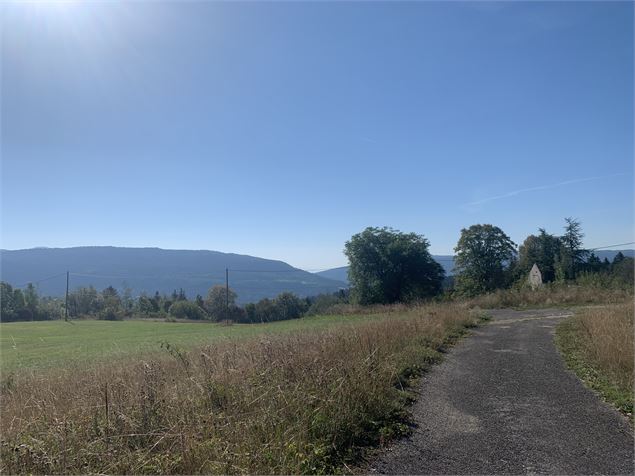 Route goudronnée - Maxime Michel