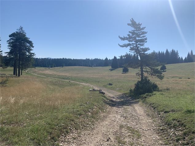 Prairie d'Echallon - Maxime Michel