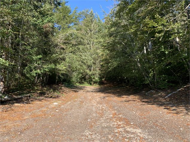 Parking de départ - Maxime Michel