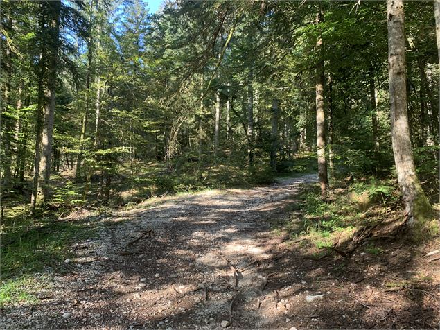 Chemin de départ - Maxime Michel