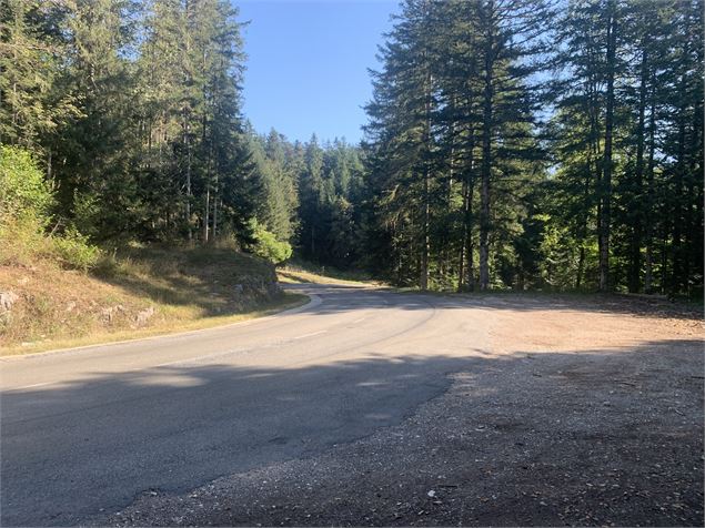 Route goudronnée - Maxime Michel