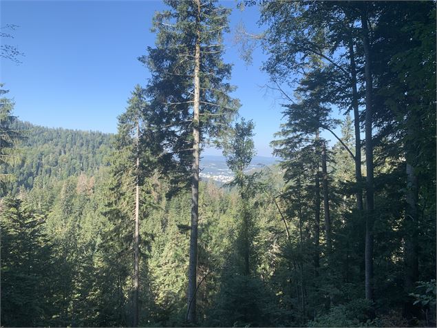 Vue sur Oyonnax-Arbent - Maxime Michel