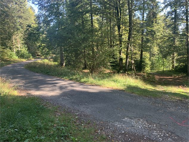 Route goudronnée - Maxime Michel