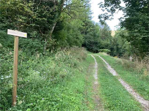 Le sentier de Colliard - Maxime Michel