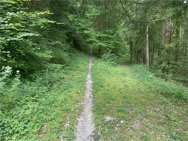 Le sentier de Colliard - Maxime Michel