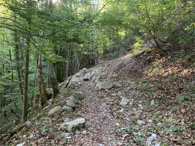Le sentier de Colliard - Maxime Michel