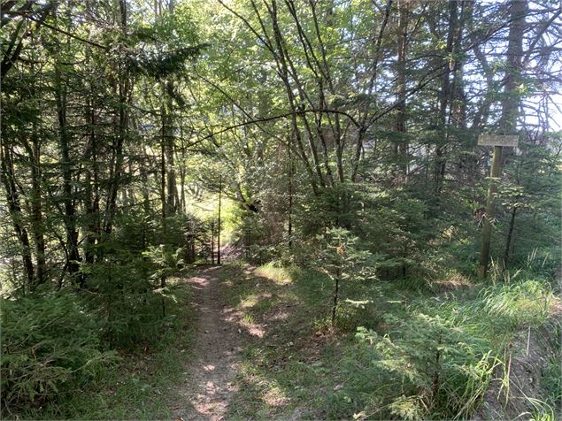 Le sentier de Colliard - Maxime Michel