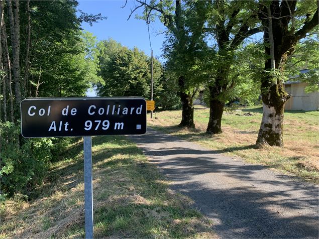 Le sentier de Colliard - Maxime Michel