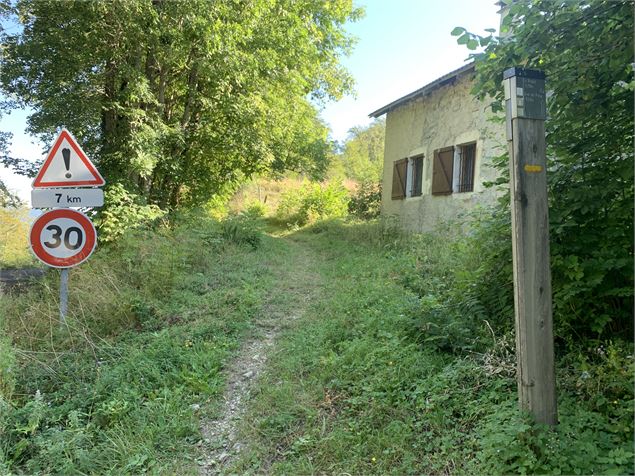 Le sentier de Colliard - Maxime Michel
