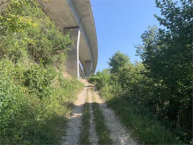 Le sentier des Glacières - Maxime Michel