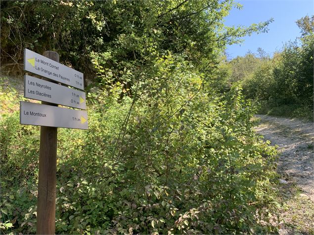 Le sentier des Glacières - Maxime Michel
