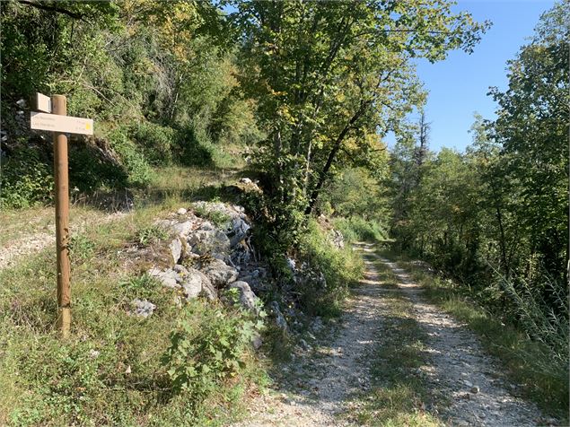 Le sentier des Glacières - Maxime Michel