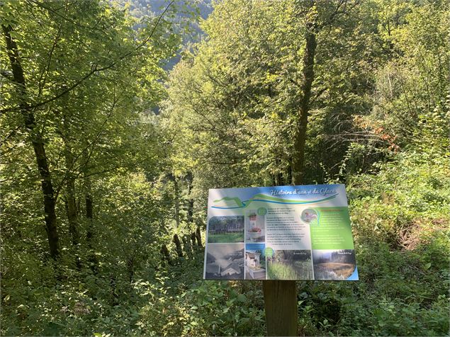Le sentier des Glacières - Maxime Michel