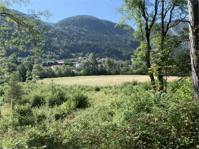 Le sentier des Glacières - Maxime Michel