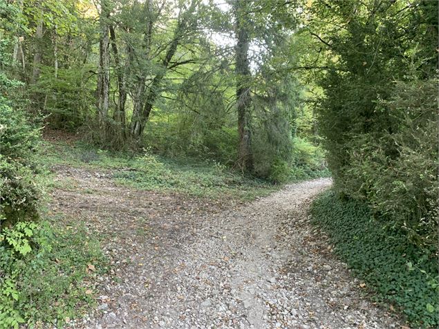 Le grand tour du plateau de Chamoise - Maxime Michel