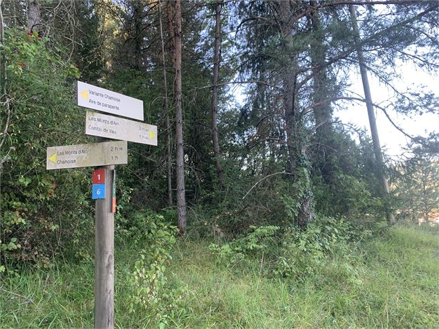 Le grand tour du plateau de Chamoise - Maxime Michel