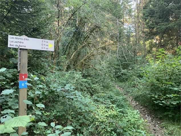 Le grand tour du plateau de Chamoise - Maxime Michel